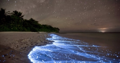 7 Amazing Things You Won&rsquo;t Believe Actually Exist In Nature