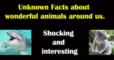 amazing unknown facts about animals 
