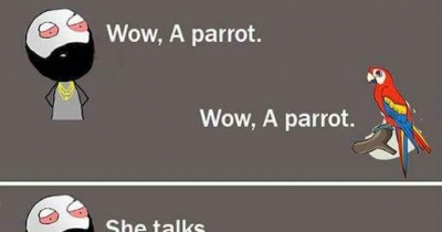 Comedy mems