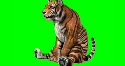 Copy link and search on Google