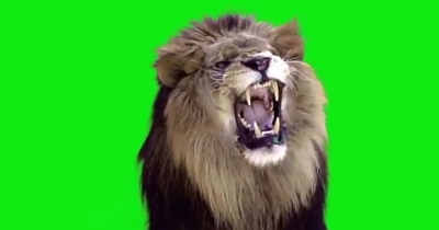 Copy link and search on Google