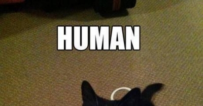 Dei kabali vanthu eduthu vidu da