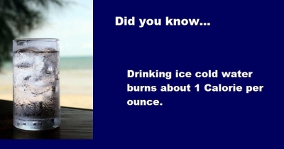 did you know?