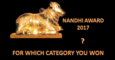 FOR WHICH CATEGORY YOU WILL GET THE NANDI AWARD 2017