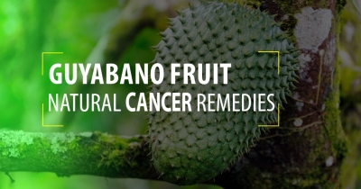 Guyabano Fruit &ndash; Natural cancer remedies