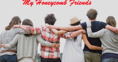 My Honeycomb Friends