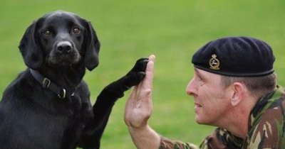 The British Army has animals on salary with military ranks.