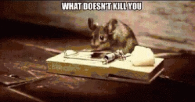 What doesn't kill you makes you stronger...