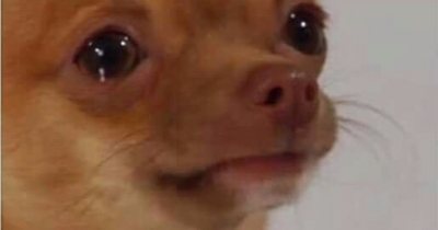 When Karma strikes.??