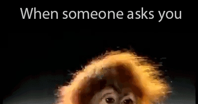 when someone ask do you have a girlfriend!!!