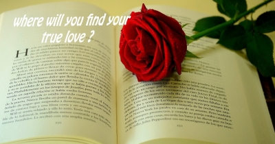 Where will you find your true love/soulmate ?
