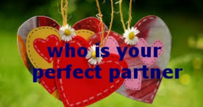 who is your perfect partner 