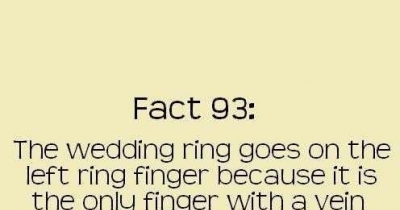 WTF FACTS #5